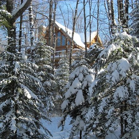 Blueberry Lake Resort Labelle 外观 照片