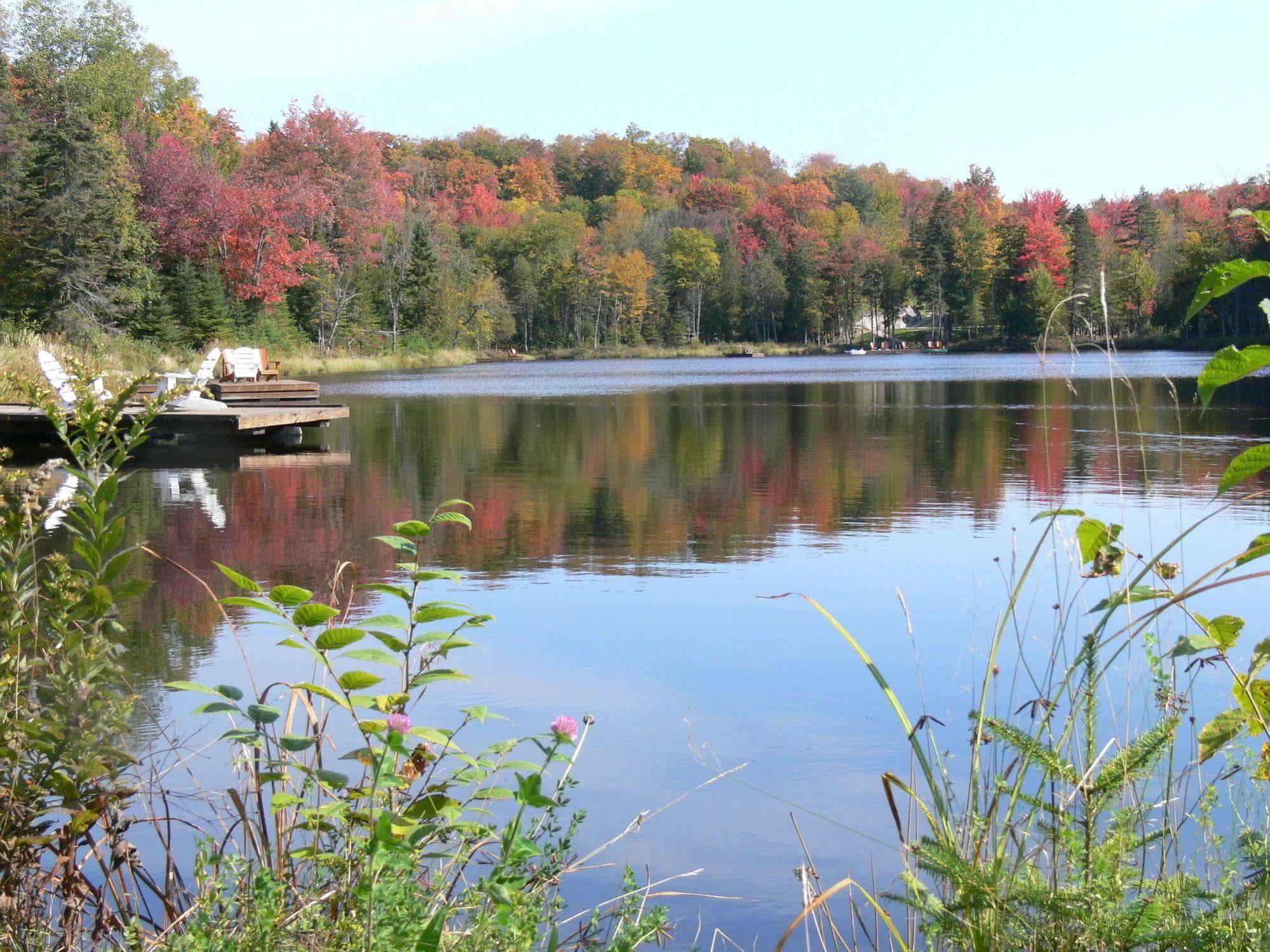 Blueberry Lake Resort Labelle 外观 照片