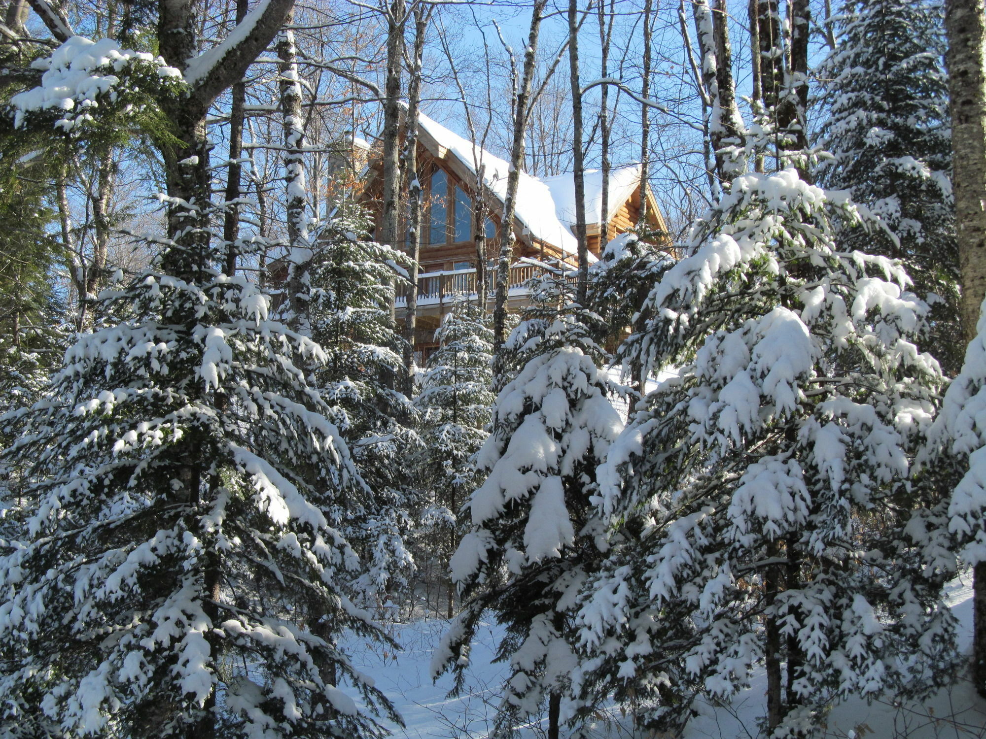 Blueberry Lake Resort Labelle 外观 照片